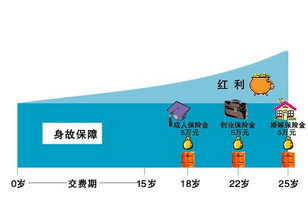 旺旺宝贝两全保险（分红型）